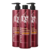 DF Pro Botox Care Keratin Treatment Maroon Set (3x800ml)